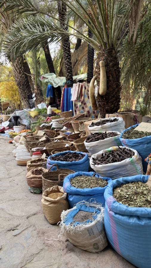 Foto 1 van Robertus H. (8-1-26)