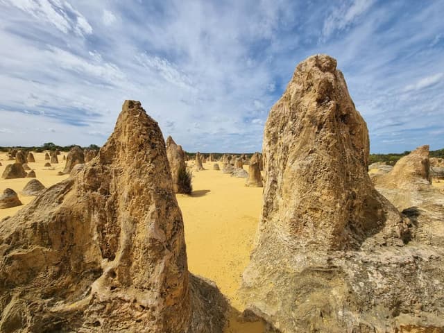 Photo 1 by Alan G. (11/12/23)