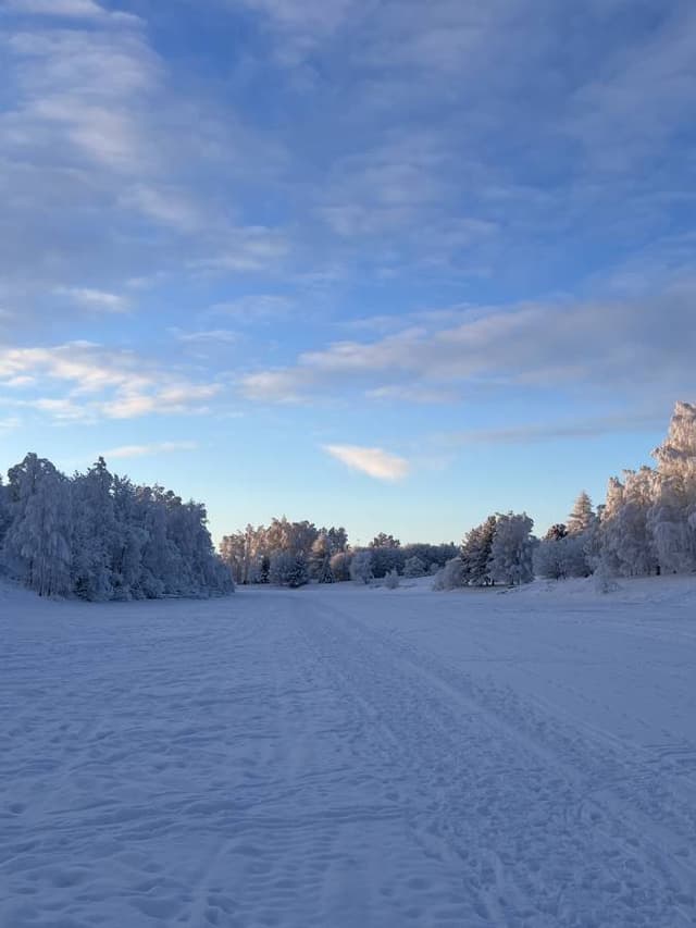 Photo 1 by Hugo L. (2/2/26)