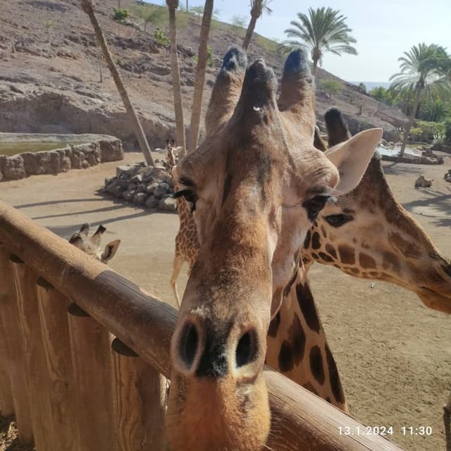 Henkilön Pertti P. (16.1.24)