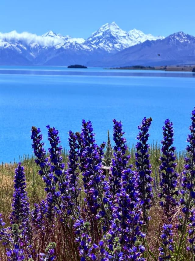 Photo 3 by Jacqueline R. (2/21/26)