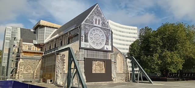 Photo 1 by suzanne C. (11/11/25)