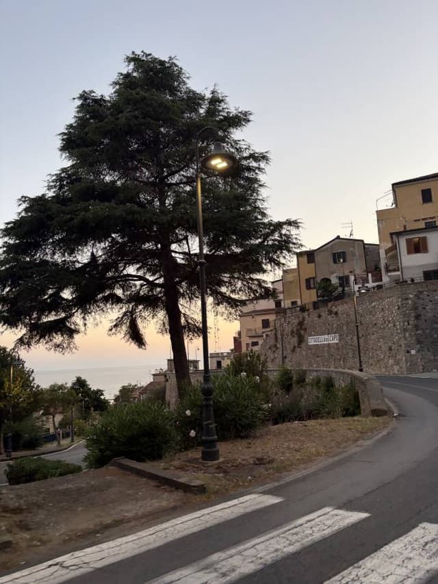Photo 3 by Edmundas B. (7/27/26)