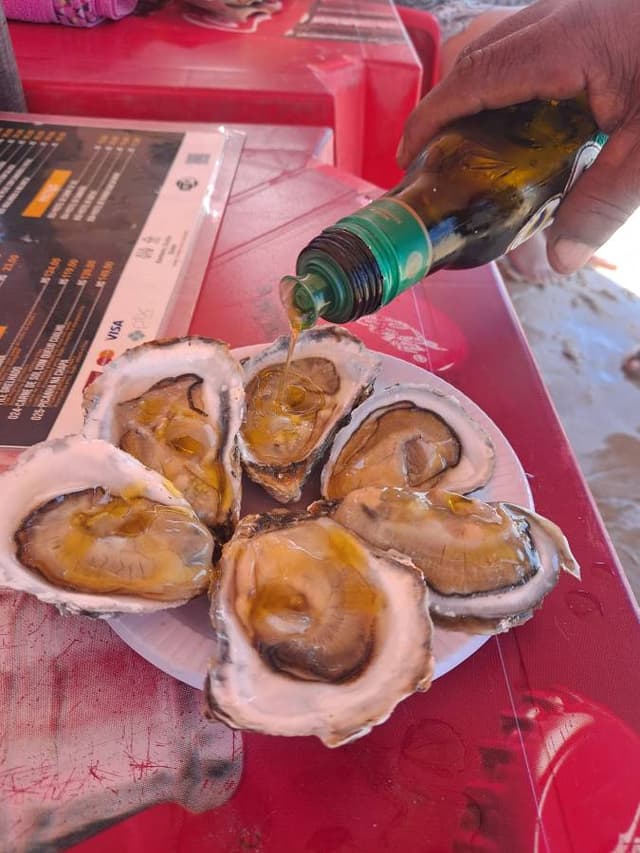 Foto 1 de Alexandre S. (12/09/24)