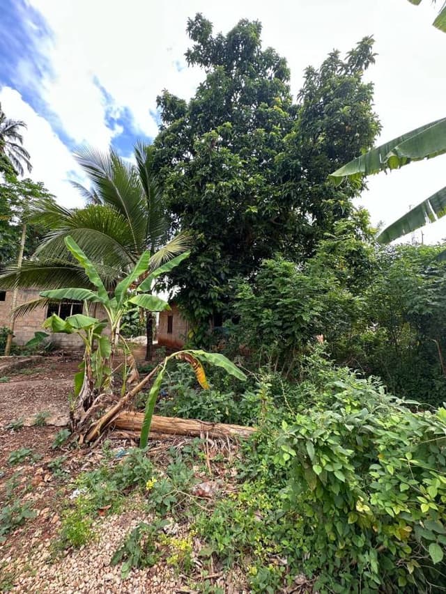 Photo 3 par Samira A. sur la location d'un Skoda Kodiaq à Zanzibar (09/03/24)