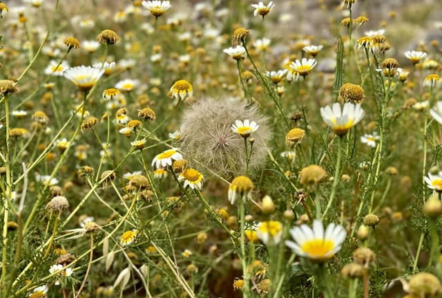 Photo 2 by Ian F. about hiring a Volkswagen Polo in Rhodes (22.04.24)