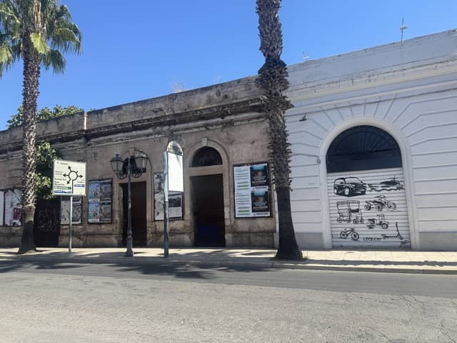 Photo 2 by Diana H. (9/12/25)