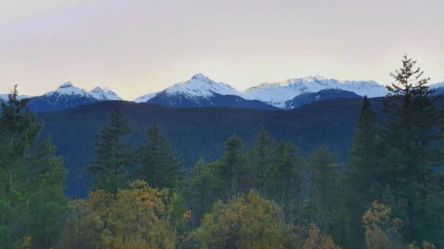 Photo 4 by Brian C. (11/12/25)