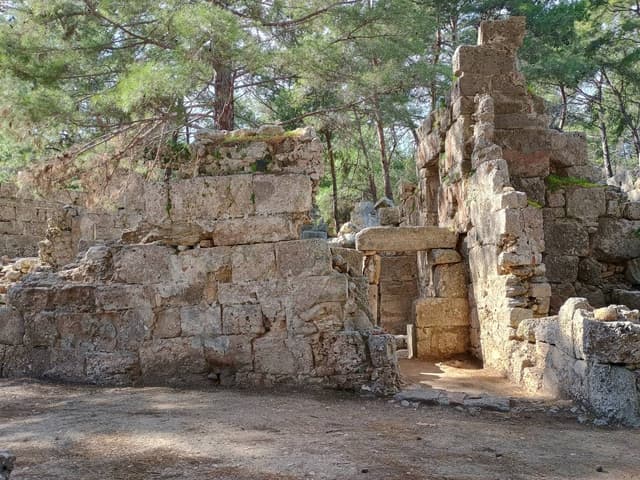 Zdjęcie 1 wykonane przez Marzena M. (14.02.24)