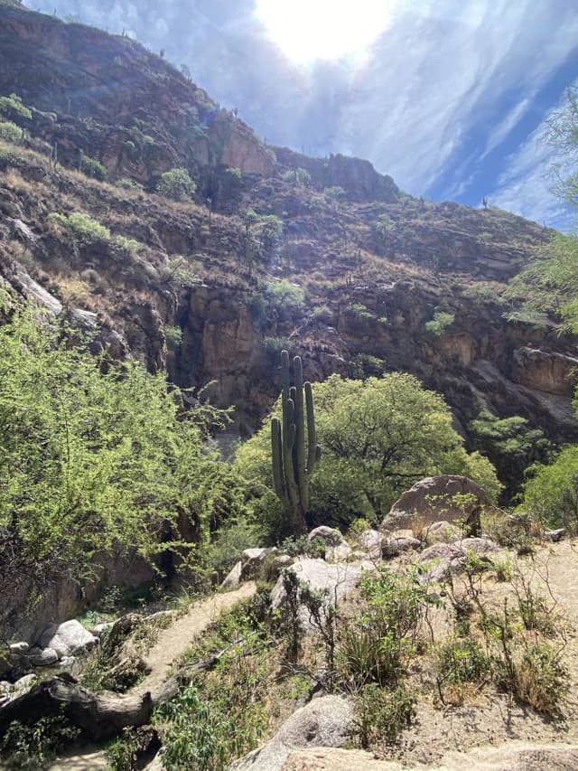 Photo 3 by Peter J. (11/5/25)