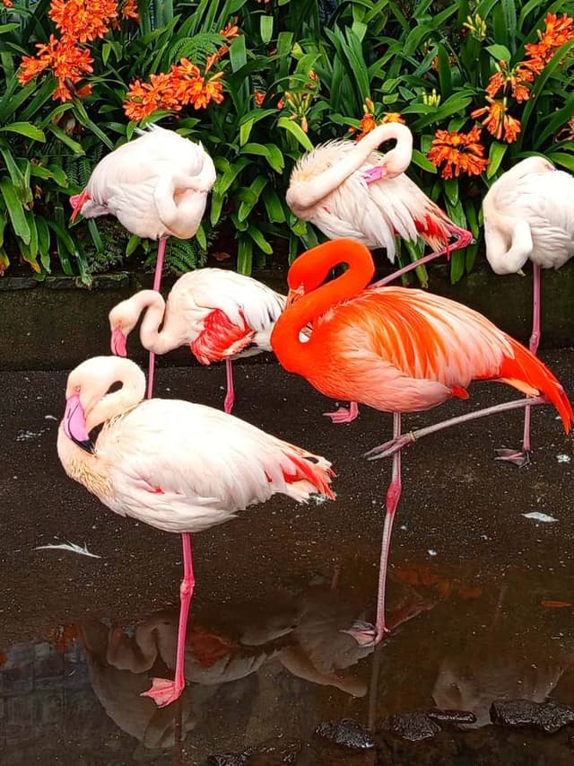 Zdjęcie 3 wykonane przez Justyna B. (1.04.26)