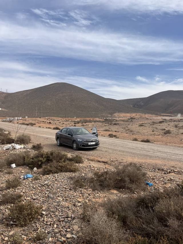 Photo 1 by Tomasz P. (11/13/24)