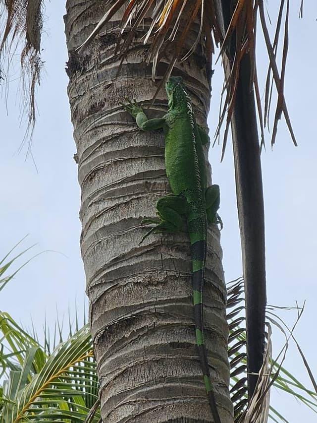 Photo 2 par Marco C. (17/11/23)