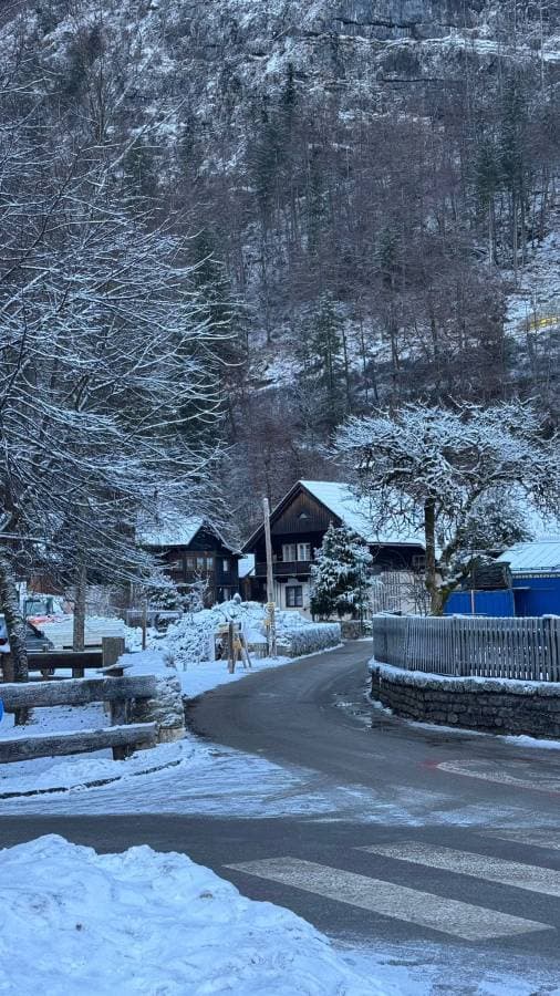 Photo 2 by Abdallah N. (1/2/26)