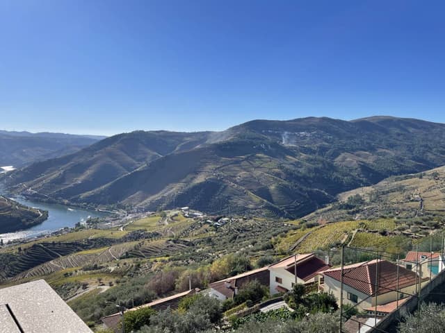 Photo 1 by Warren K. (11/3/25)