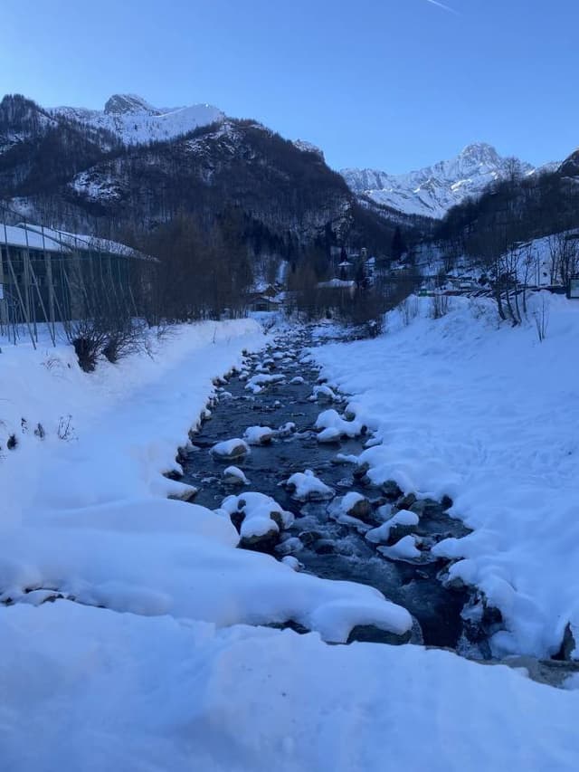 Photo by Constantin C. (1/5/26)