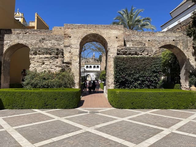 Foto 3 van Eric V. (1-4-25)