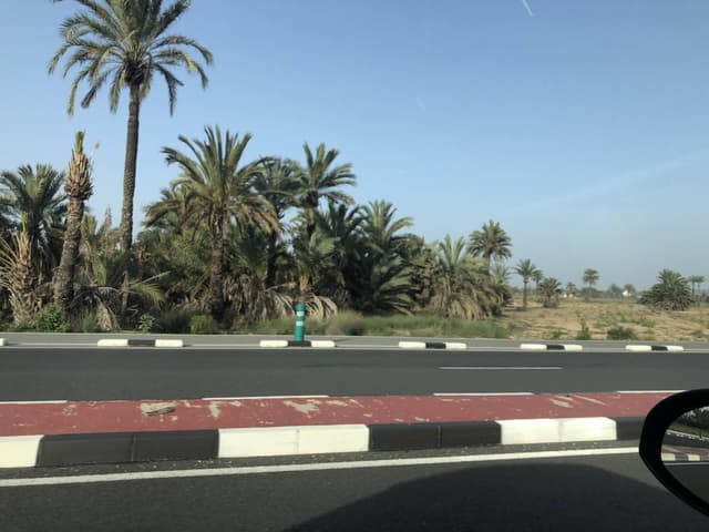 Photo 2 par Rachid H. sur la location d'un Fiat 500 à l’aéroport de Alicante (21/03/25)