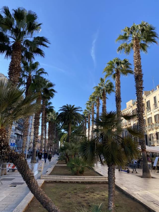Photo 1 by Marius Alin F. about renting a Fiat 500X in Bari (1/5/24)