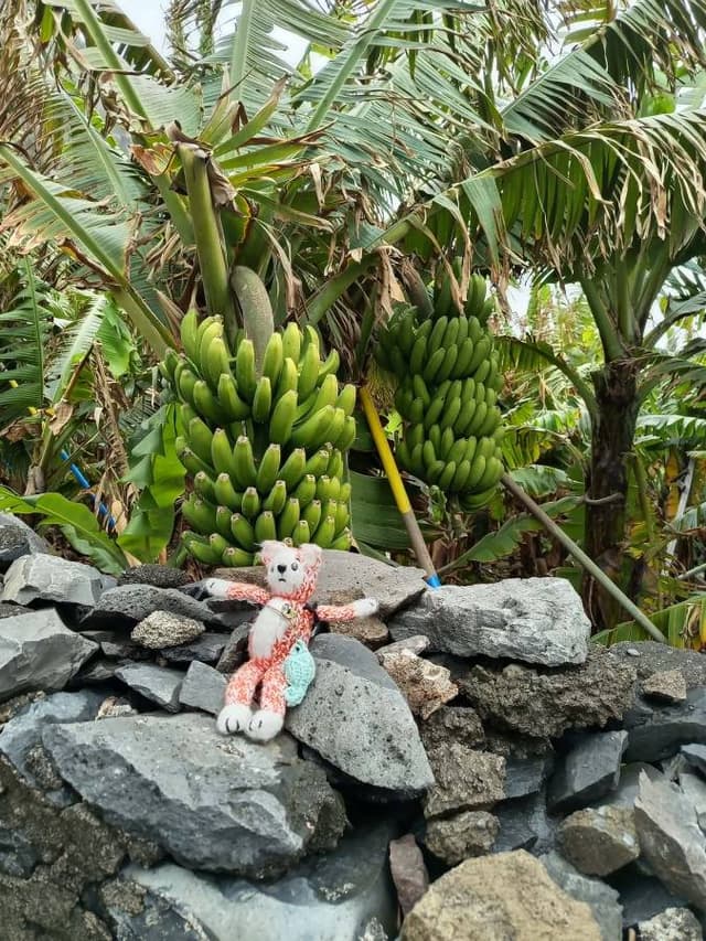 Zdjęcie 4 wykonane przez Justyna B. (1.04.26)