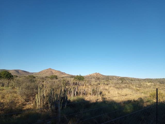 Photo 1 by Vaughan P. about renting a Renault Kwid in South Africa (7/20/25)