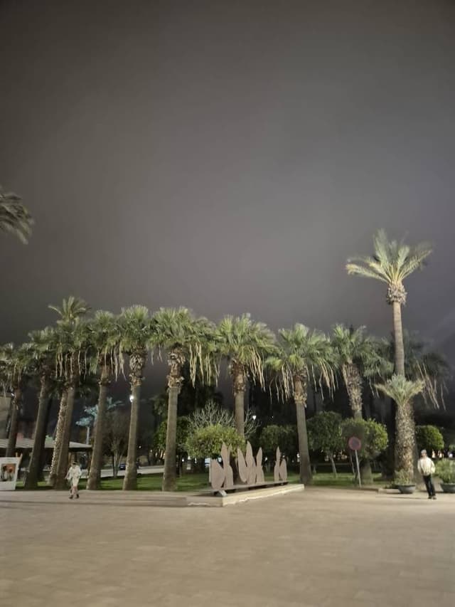 Fotografie 1 realizată de Adrian Laurentiu I. despre închirierea unei mașini Dacia Logan în Marrakesh (25.03.25)