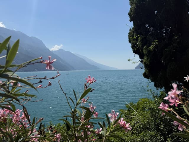 Photo 4 par JEAN MARC S. (12/08/25)