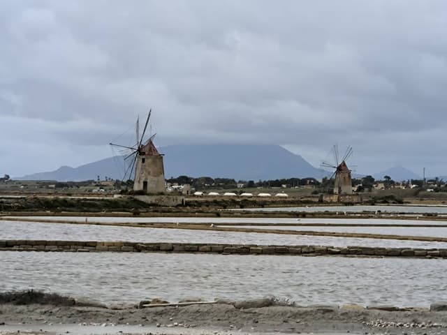 Foto 2 di Salvatore Vincenzo G. (08/04/26)