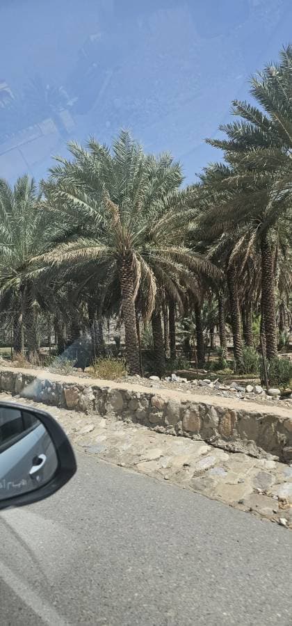 Foto 1 van Naima S. (9-8-25)