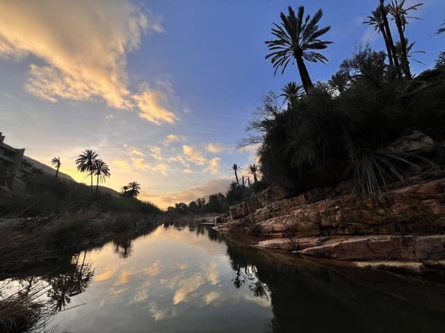 Photo 3 by Joanna K. (2/7/26)