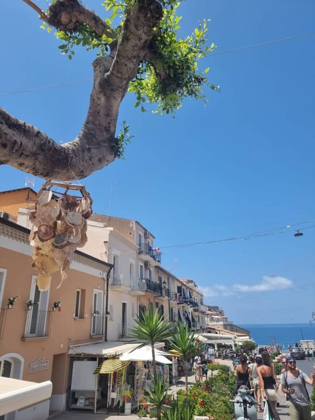 Foto 1 von Yasar C. (27.7.24)