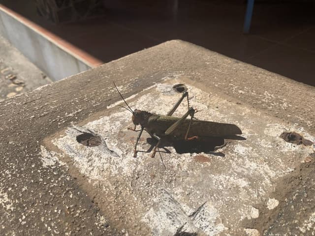 Photo 2 by Michal G. (11/15/25)