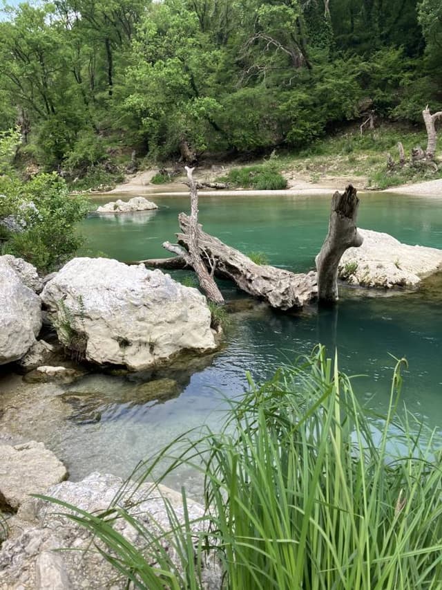 Photo 3 par Celine A. (29/04/25)