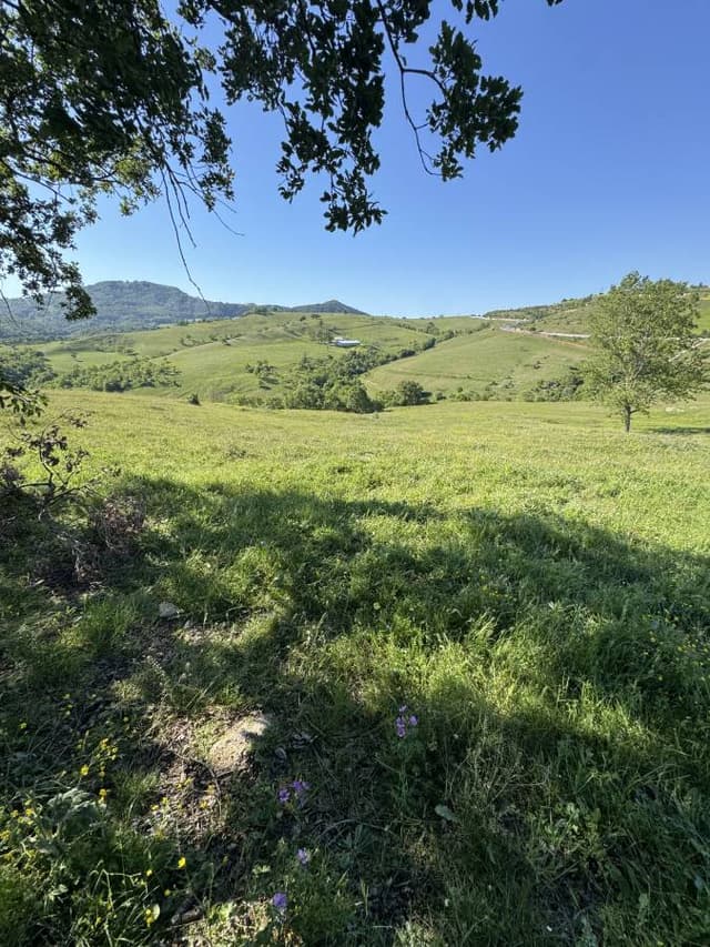 Photo 1 by Yousef A. about hiring a Citroen C-Elysee at Istanbul Airport Sabiha Gokcen (21.05.25)