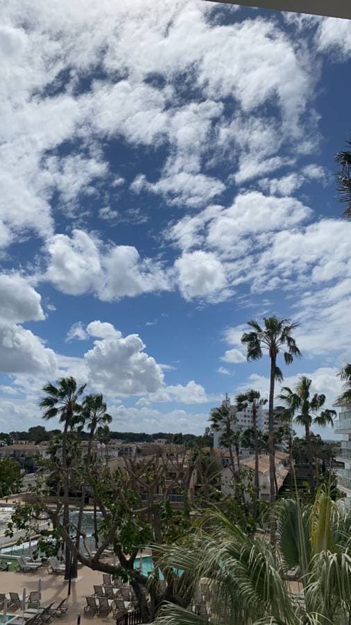 Photo 1 by Tyra F. about hiring a Volkswagen Golf in Majorca (01.04.24)