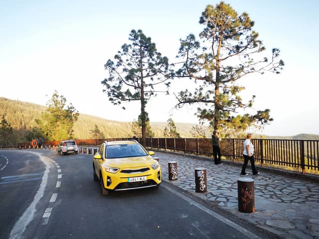 Photo 1 by Robertas J. (3/5/26)