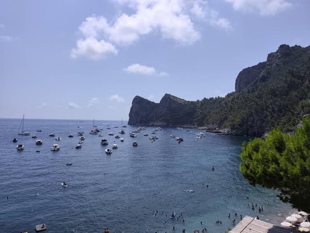 Photo 1 by Dr Rafat M. (8/4/26)