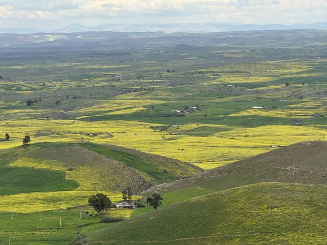 Photo 1 par Abdeljalel E. (14/03/26)