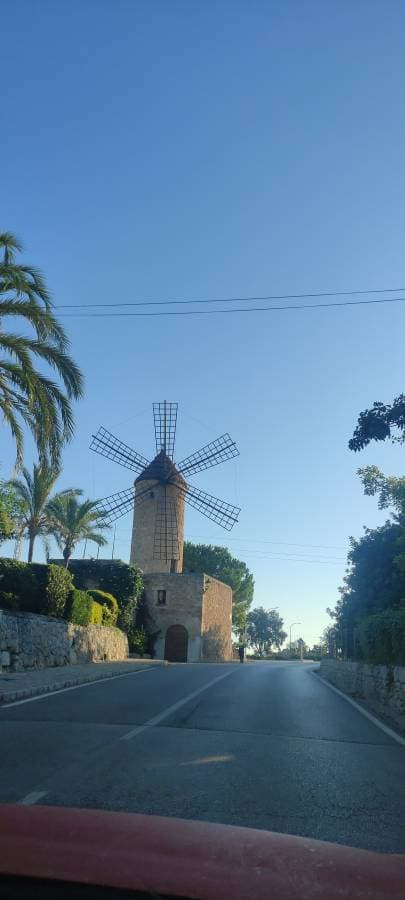 Foto 1 de Sandra S. (14/9/23)