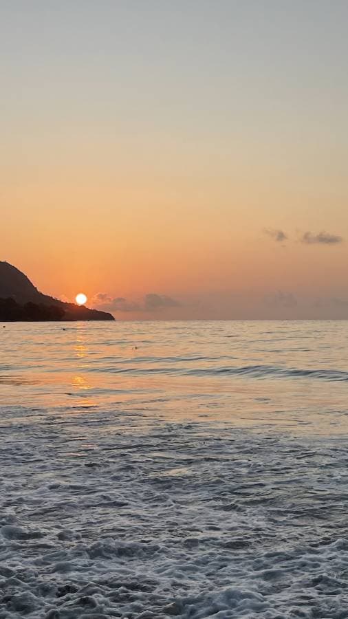 Photo 1 by Giovanni B. (10/26/25)