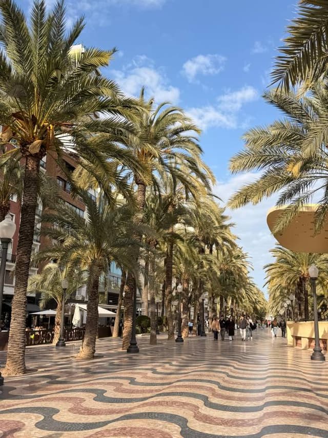 Photo 1 by Carolina Yumi T. (4/3/26)