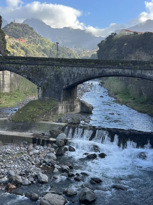 Photo 3 by Sylvie B. (1/28/26)