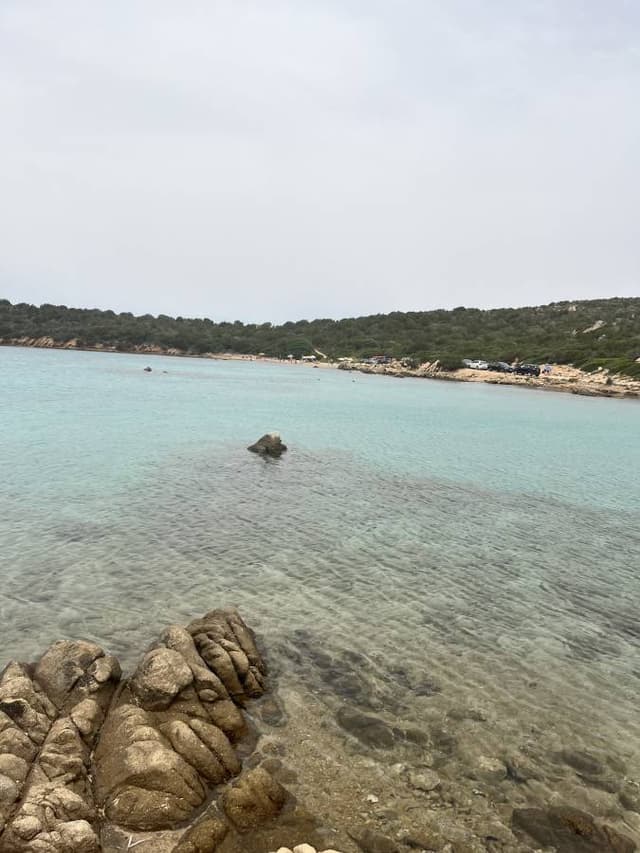 Foto od Jiri K. o pronájmu Fiat Panda na Letišti Alghero Fertilia (6/30/24)