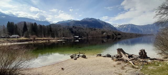 Photo 5 by Kevin B. (3/13/26)