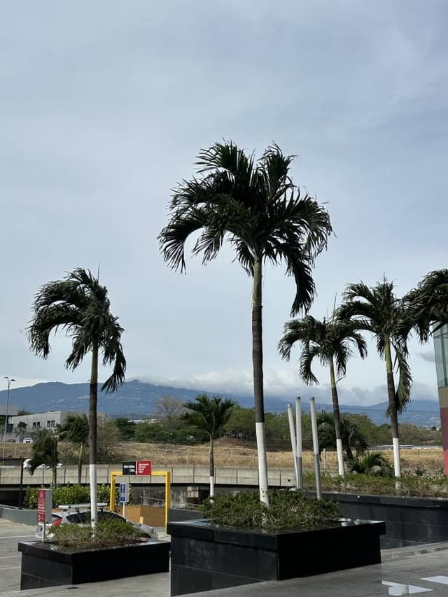 Foto 3 de Grecia T. sobre el alquiler de un Hyundai Grand i10 en el aeropuerto de San José (18/4/25)