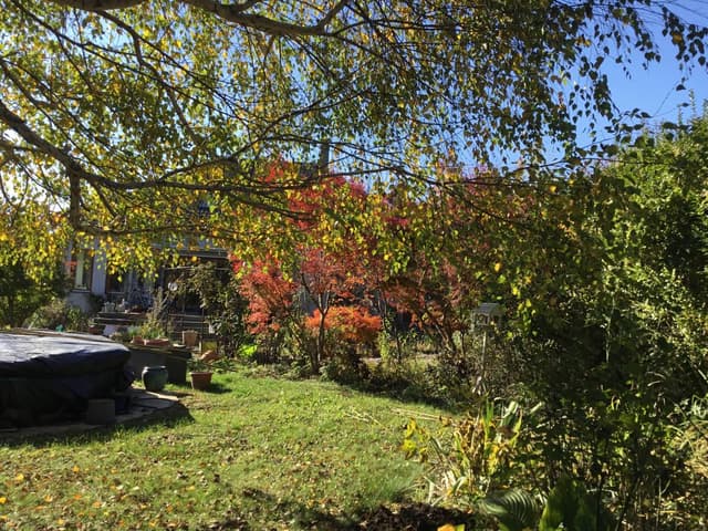 Photo 2 by PATRICIA I. about renting a Toyota Yaris in Hungary (11/17/23)