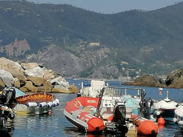 Photo 1 par Christine H. sur la location d'un Fiat Panda en Italie (21/07/25)
