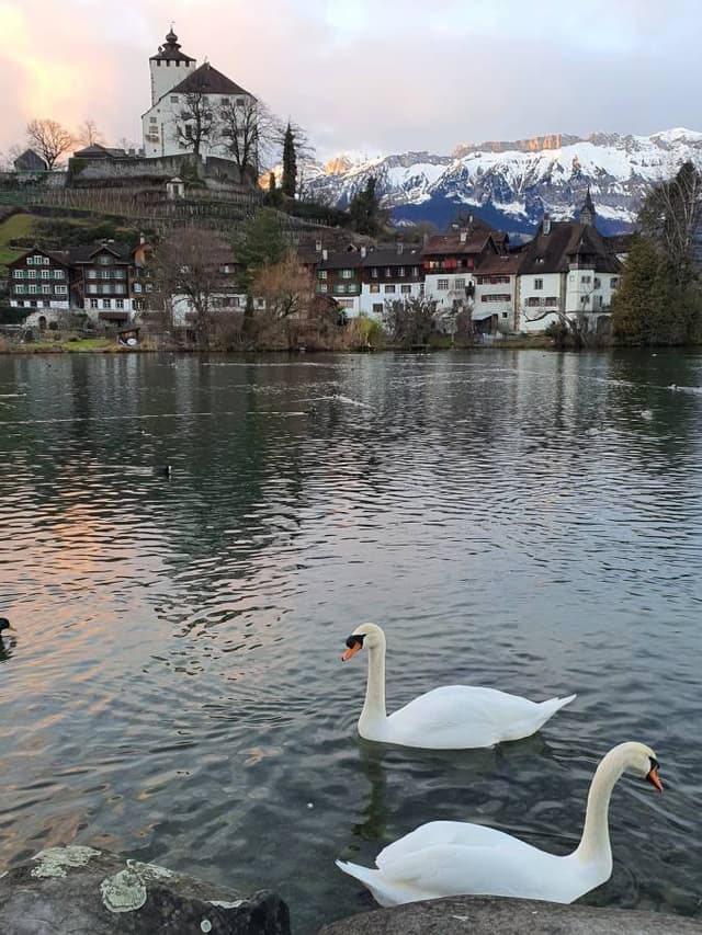 Foto 2 di Valerio T. sul noleggio di una Fiat 500X a Venezia (18/01/24)