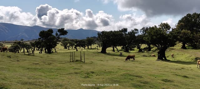 Photo 2 par Elisabeth P. sur la location d'un Opel Corsa au Portugal (11/05/25)