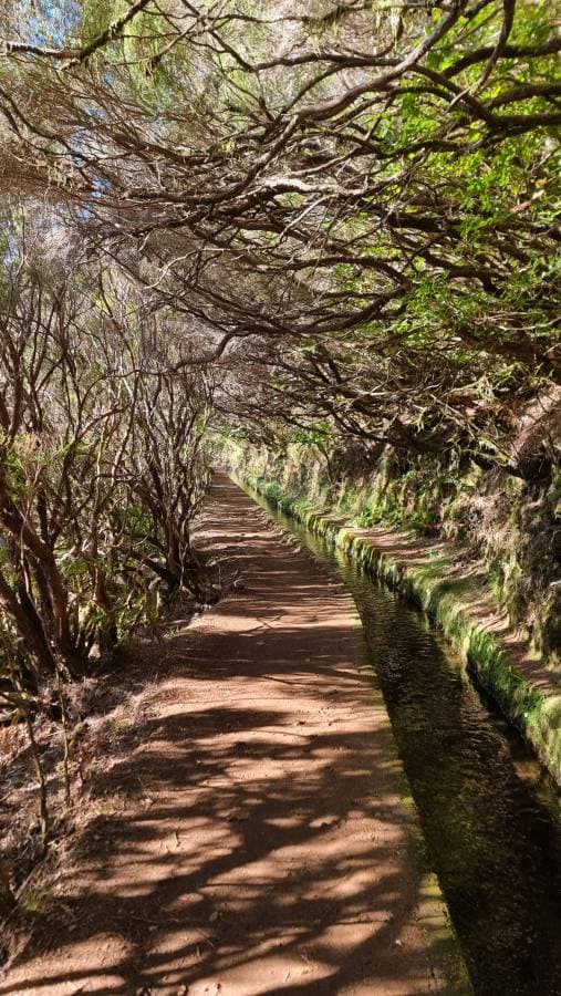 Foto 1 von Jairo A. über die Anmietung eines Fiat Panda auf Madeira (16.11.23)